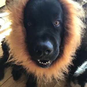 Meet your Posher, Sheri